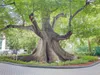 1871 NW S River Dr #1804