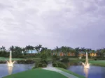 Thumb 43