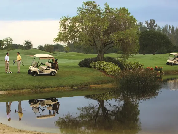Golf Reflection3544