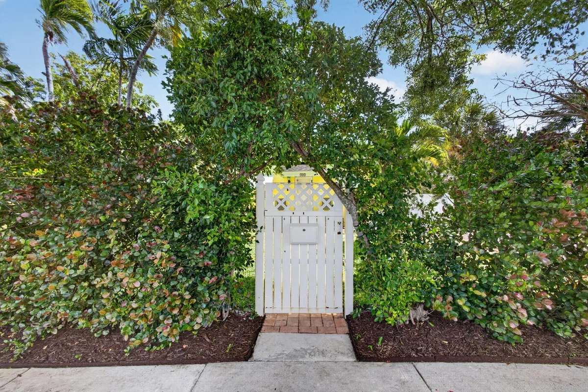 6-web-or-mls-5D1A9349
