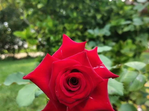 A1CB6541-B094-4B5F-B863-F54884F2C783