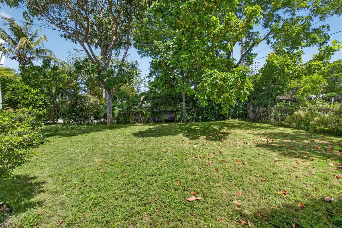36-web-or-mls-5D1A9498