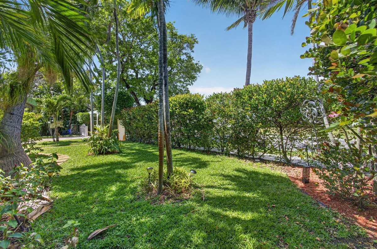 13-web-or-mls-5D1A9384